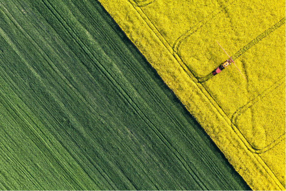 Eine Drohne filmt ein Feld aus der Luftperspektive