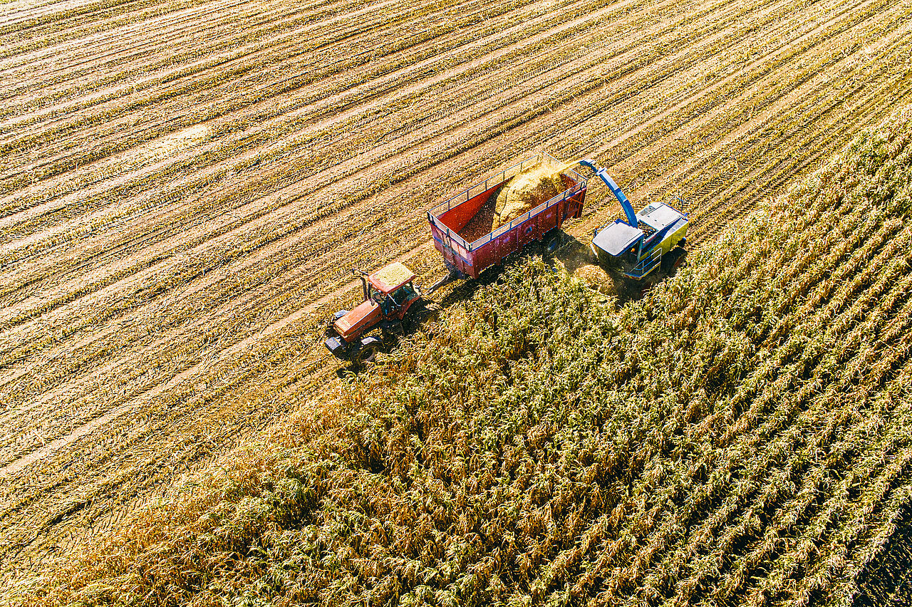 Gewinnung von Biomasse für Biogasanlagen.