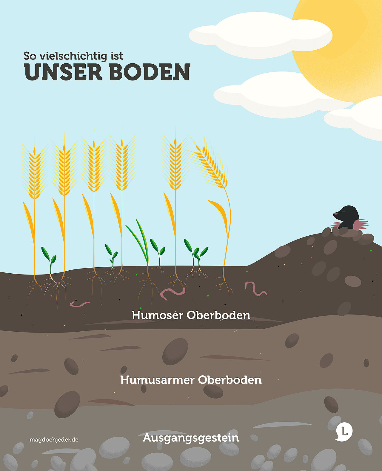 Grafik zum Aufbau verschiedener Bodenschichten