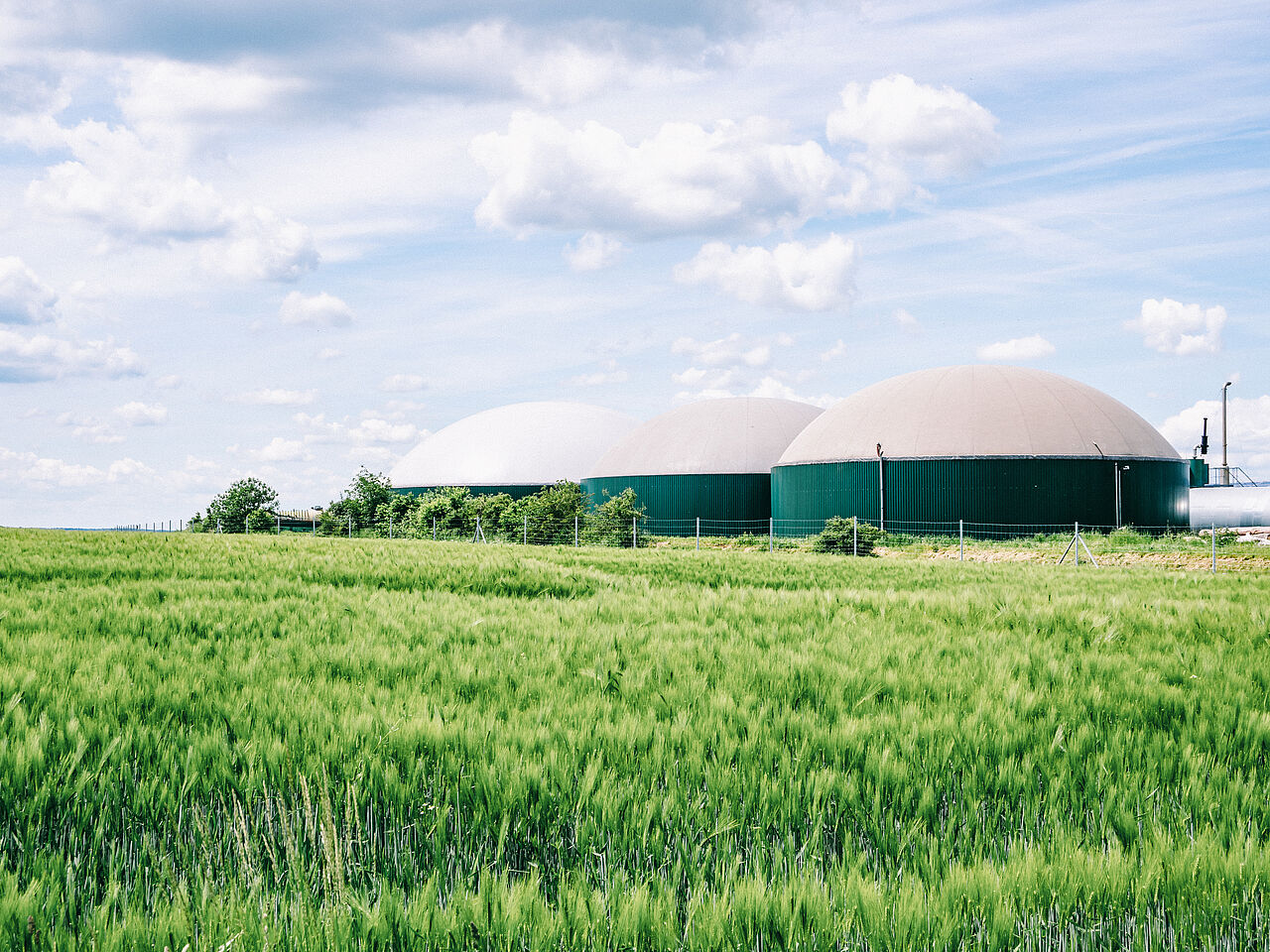 Gewinnung erneuerbarer Bioenergien in der Landwirtschaft mithilfe von Biogasanlagen. Grundlastfähig und umweltschonend – so geht Bioenergie in der Landwirtschaft!